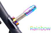 Titanium Oil Slick & Golden Presta Valve Cap Kit