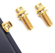 gold bottle cage bolts titanium