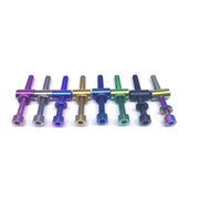 2Pcs M5 Titanium Seatpost Bolts